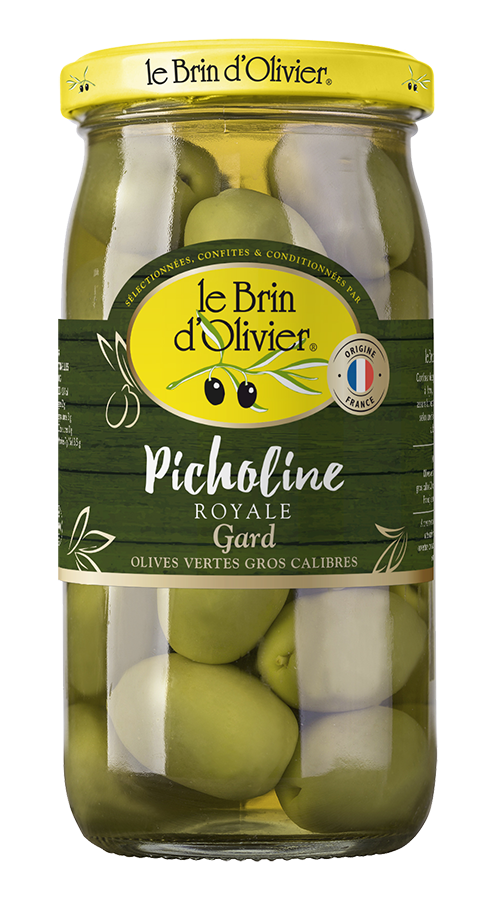 L’olive verte Picholine verte Picholine du Gard